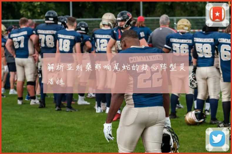 解析亚利桑那响尾蛇的核心阵型灵活性