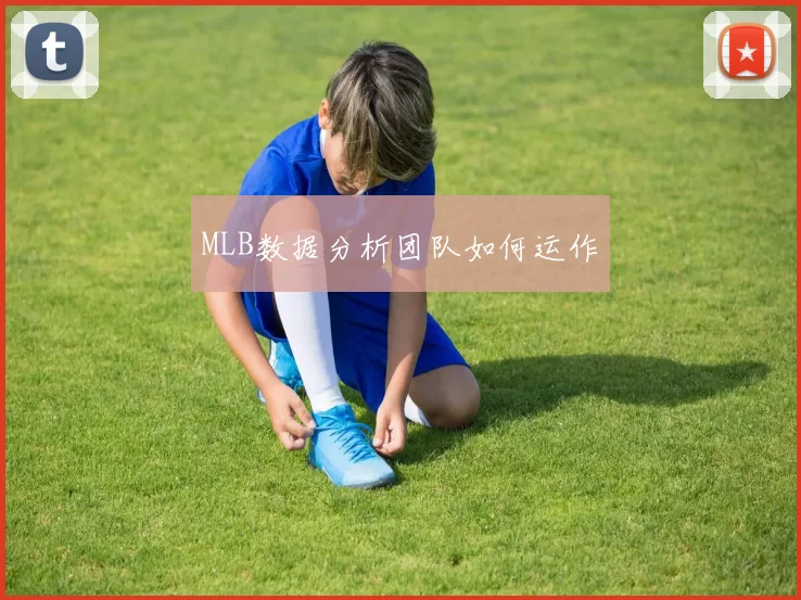 MLB数据分析团队如何运作
