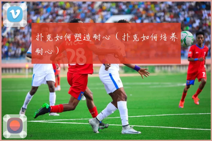 扑克如何塑造耐心（扑克如何培养耐心）