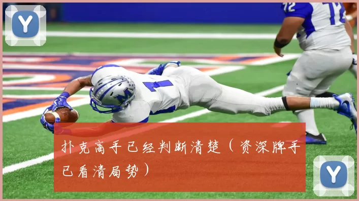 扑克高手已经判断清楚（资深牌手已看清局势）