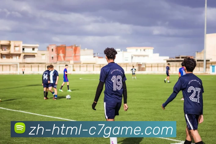 c7娱乐平台生态图